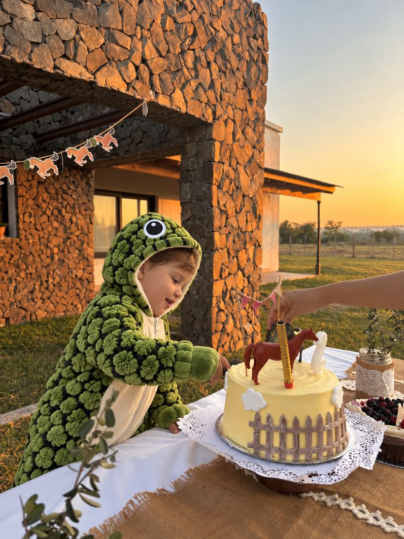 Criança de macacão de tartaruga cortando o bolo de aniversário ao pôr do sol