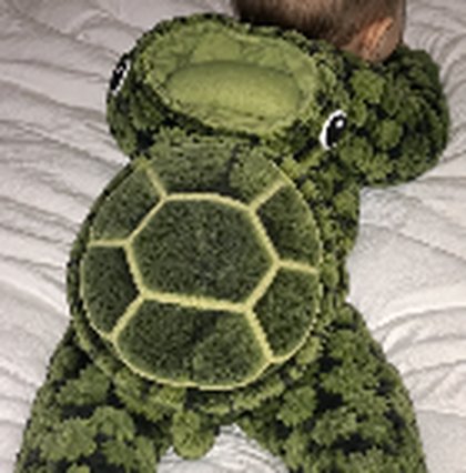 Bebê de costas com o macacão Little Turtle, mostrando o casquinho